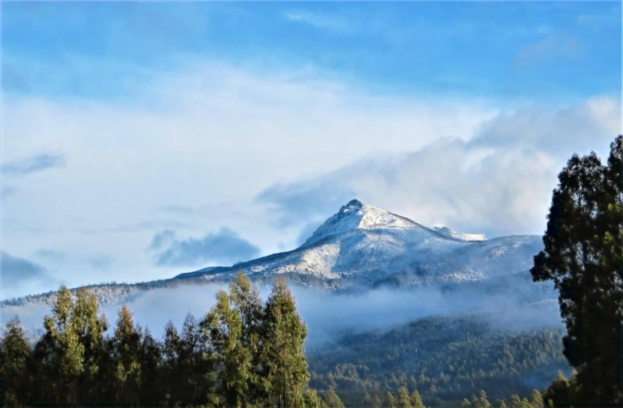 Maydena Mountain Cabins 外观 照片