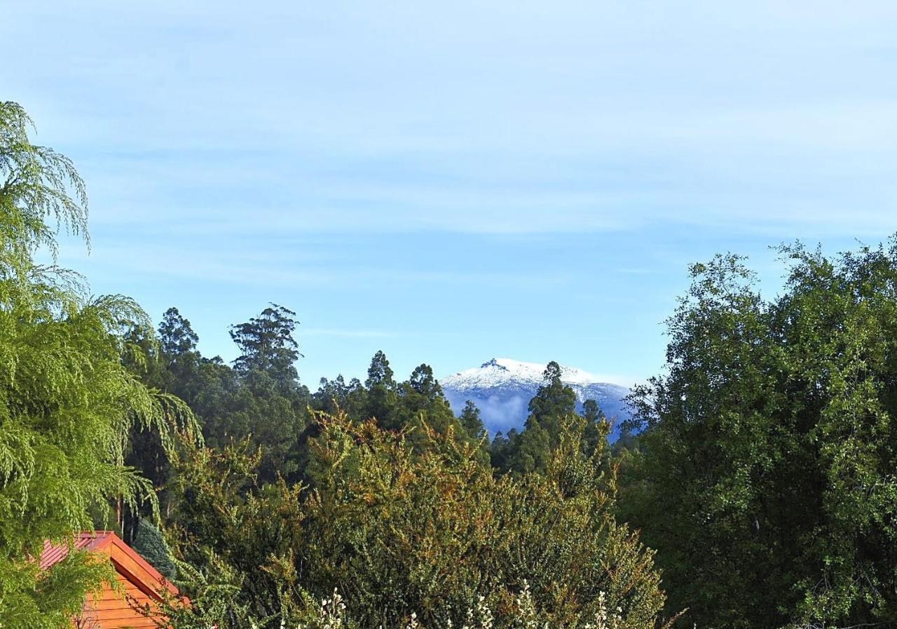 Maydena Mountain Cabins 外观 照片