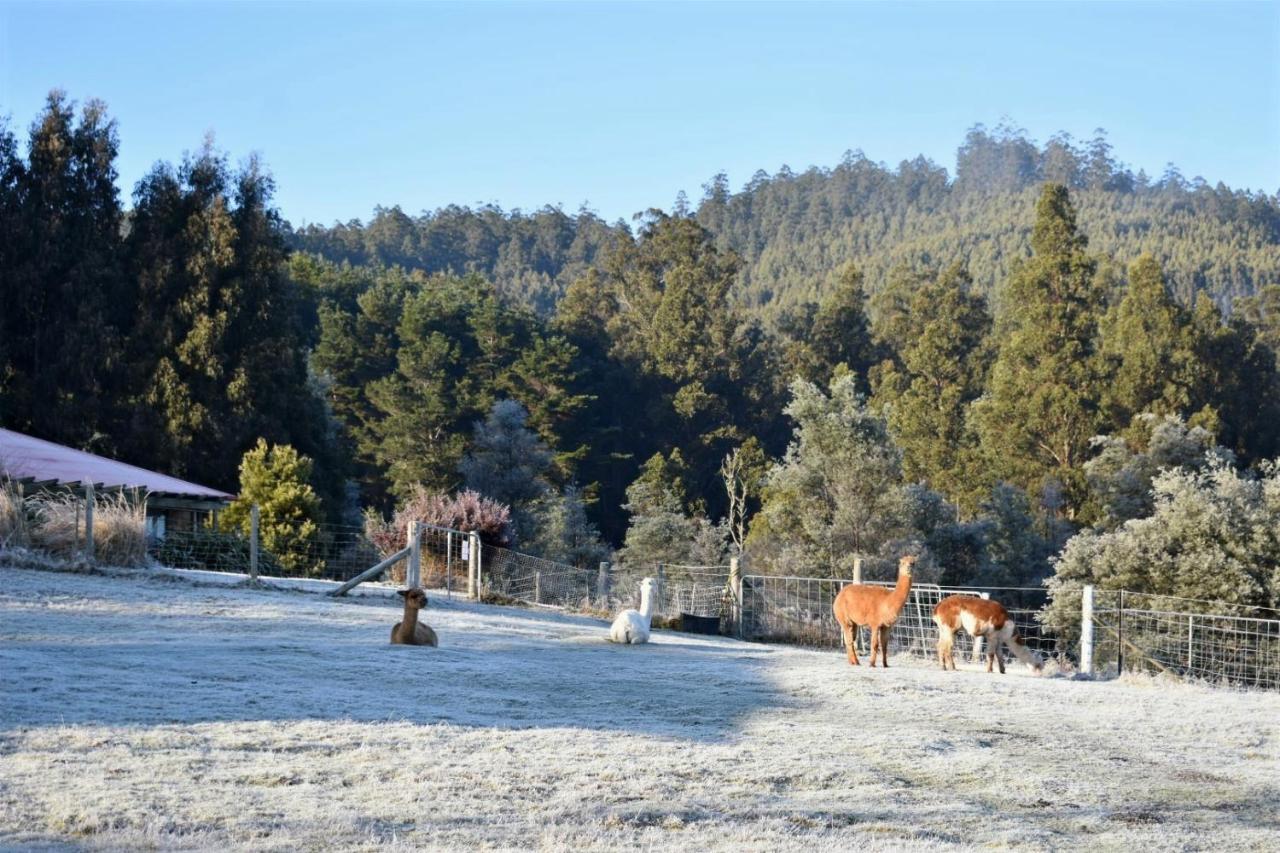 Maydena Mountain Cabins 外观 照片