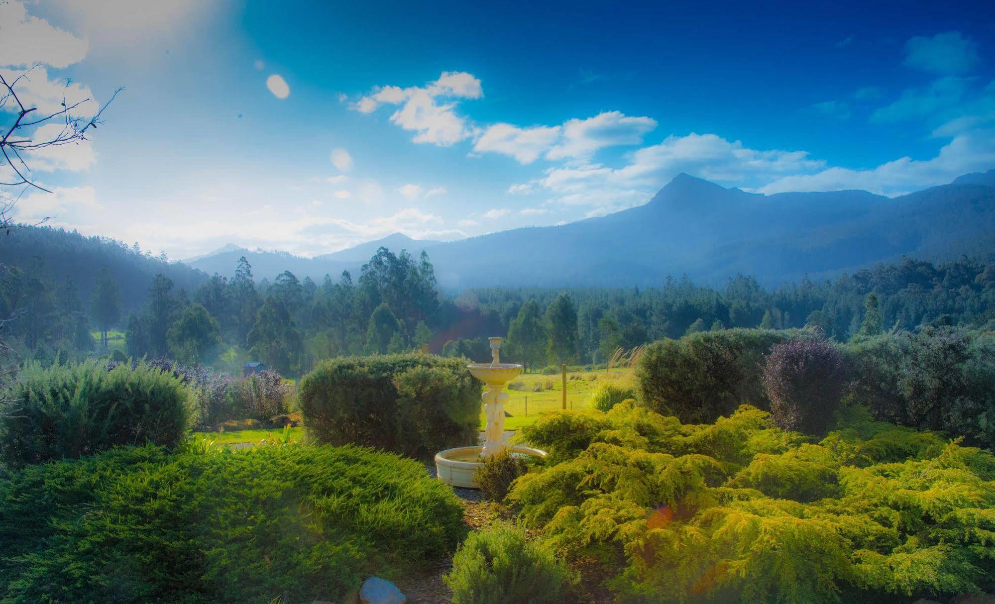 Maydena Mountain Cabins 外观 照片