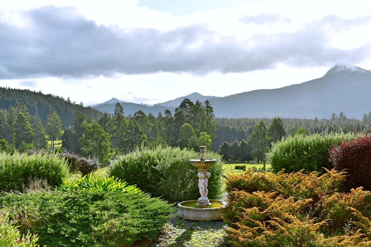 Maydena Mountain Cabins 外观 照片