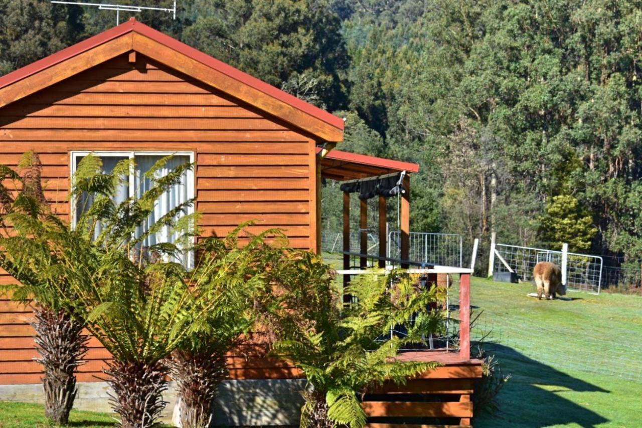 Maydena Mountain Cabins 外观 照片